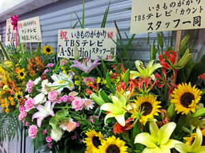 20110723_6shuusei.jpg