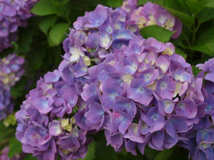 20110630_59shuusei.jpg