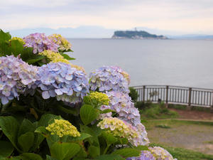20110630_64shuusei.jpg