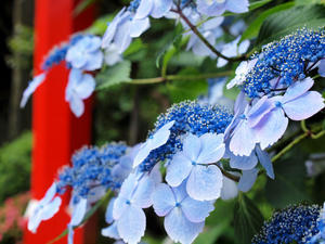 20110630_103shuusei.jpg