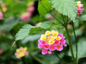 20110630_109shuusei.jpg