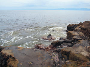 20110630_126shuusei.jpg