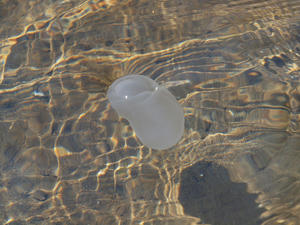 20110630_173shuusei.jpg
