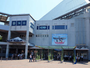 20110630_225shuusei.jpg