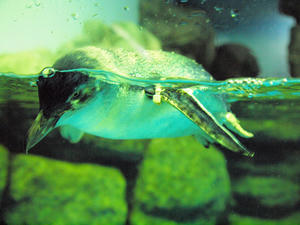 20110630_249shuusei.jpg