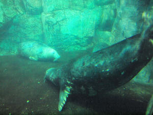 20110630_279shuusei.jpg