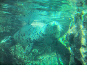 20110630_276shuusei.jpg