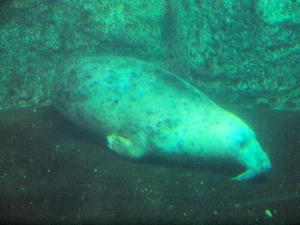 20110630_274shuusei.jpg