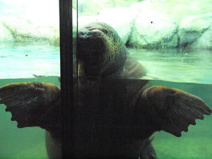 20110630_313shuusei.jpg