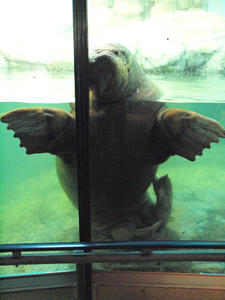 20110630_317shuusei.jpg