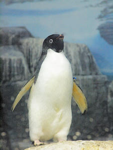 20110630_340shuusei.jpg