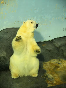 20110630_838SHUUSEI.jpg