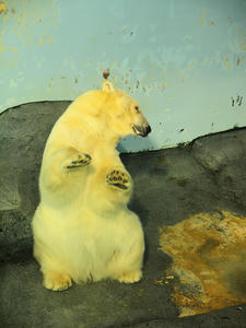 20110630_839SHUUSEI.jpg