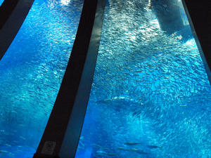 20110630_364shuusei.jpg