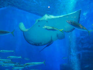 20110630_365shuusei.jpg