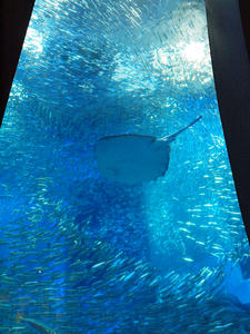 20110630_368shuusei.jpg
