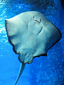 20110630_376shuusei.jpg