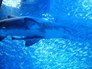 20110630_373shuusei.jpg