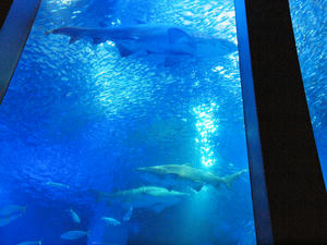20110630_374shuusei.jpg