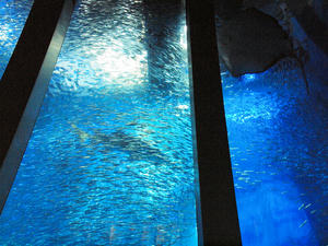 20110630_377shuusei.jpg