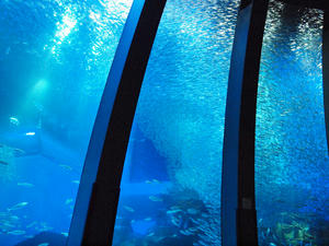 20110630_390shuusei.jpg
