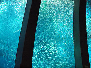 20110630_410shuusei.jpg
