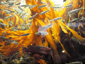 20110630_437shuusei.jpg