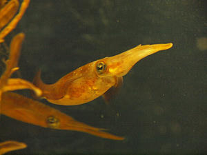 20110630_446shuusei.jpg