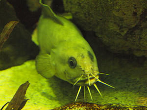 20110630_462shuusei.jpg