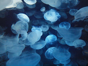 20110630_473shuusei.jpg