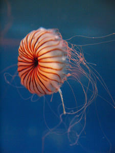20110630_476shuusei.jpg