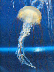 20110630_484shuusei.jpg