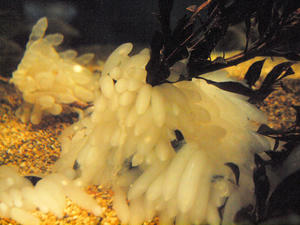 20110630_755shuusei.jpg