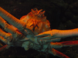 20110630_799shuusei.jpg