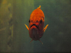 20110630_801shuusei.jpg
