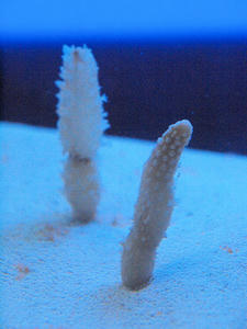 20110630_773shuusei.jpg