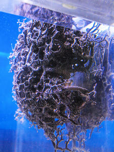 20110630_788shuusei.jpg