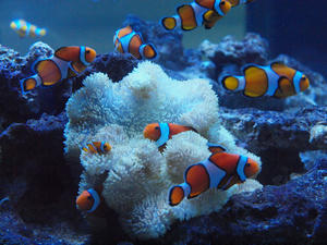 20110630_829shuusei.jpg