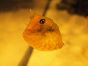 20110630_841shuusei.jpg