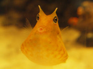 20110630_846shuusei.jpg