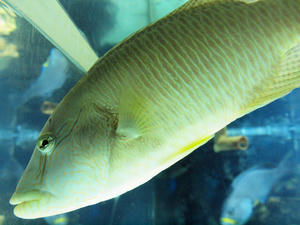 20110630_860shuusei.jpg