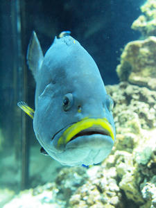20110630_862shuusei.jpg