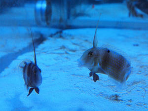 20110630_885shuusei.jpg