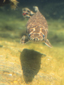 20110630_917shuusei.jpg