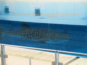 20110630_488shuusei.jpg