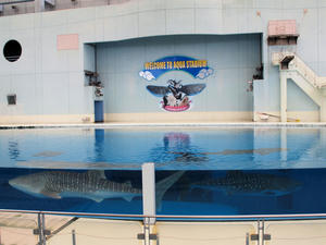 20110630_496shuusei.jpg