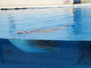 20110630_507shuusei.jpg