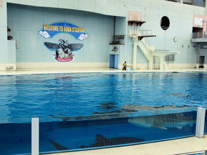 20110630_712shuusei.jpg