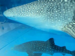 20110630_711shuusei.jpg