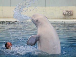 20110630_558shuusei.jpg